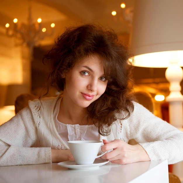 Tea terraces in Northern Thailand mountains